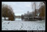 Winterlandschap