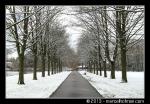 Winterlandschap