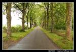 Wegen